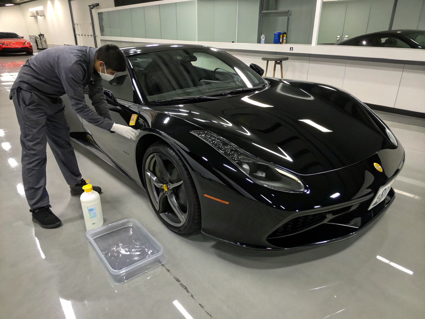 Premium paint protection sealant application